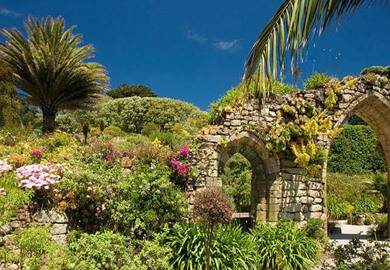 Tresco Abbey Gardens