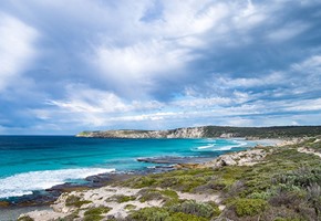 Kangaroo Island Sip and See