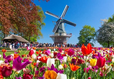 Keukenhof Gardens